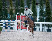 Lotus del Sole Tosc Tour2013- S5 1941 : Arezzo, Cavalli d'Italia, Lotus, Lotus del Sole, Toscana Tour 2013, foto di Stefano Secchi ©